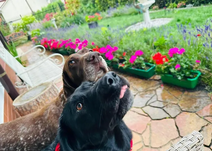 Casa Grande Pensjonat