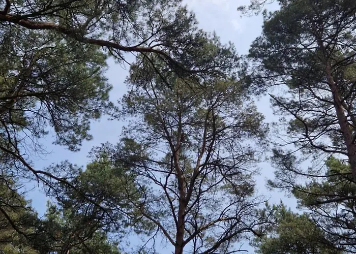 Pensjonat Casa Grande 3*